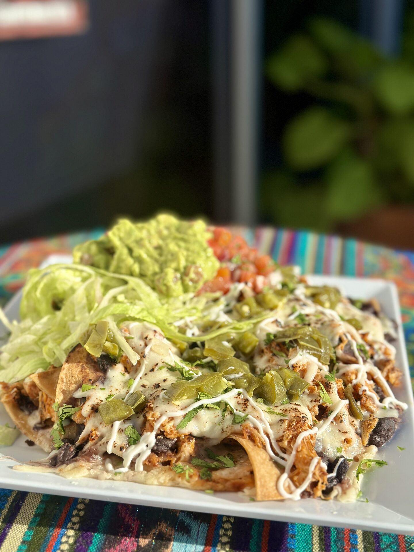 Loaded Nachos